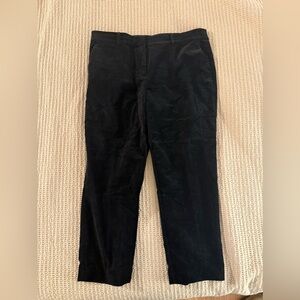 LOFT Riviera Slim Velvet Pant